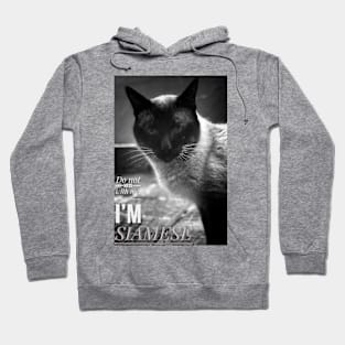 Alpha Male Siamese Cat Portrait Hoodie